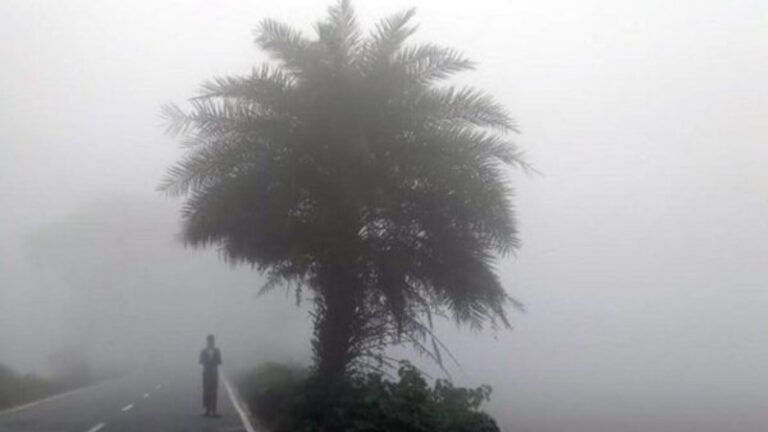 BeFunky-photo-64-2601061629