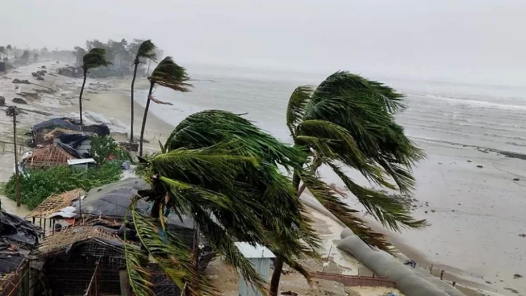 51cacfdc2eeca013e1a5533381c7b1bc-69b843978c5c7