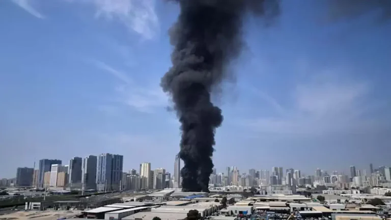 797b48cb-ae44-4d4f-80f7-d7d7ae7a2850